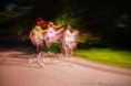/album/gallery-half-second/pul-vteriny-web15-jpg2/